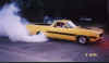 everhart_ranchero_burnout1.jpg (11948 bytes)